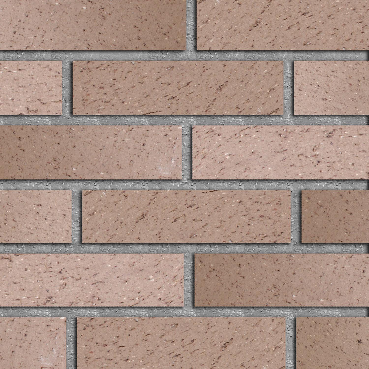 Excavator Bucket Teeth (Set of 5)