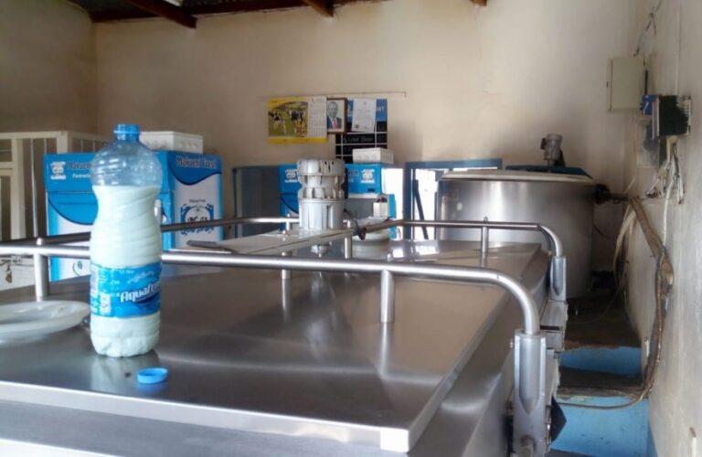 All-Purpose Flour Bulk 50lb Bag