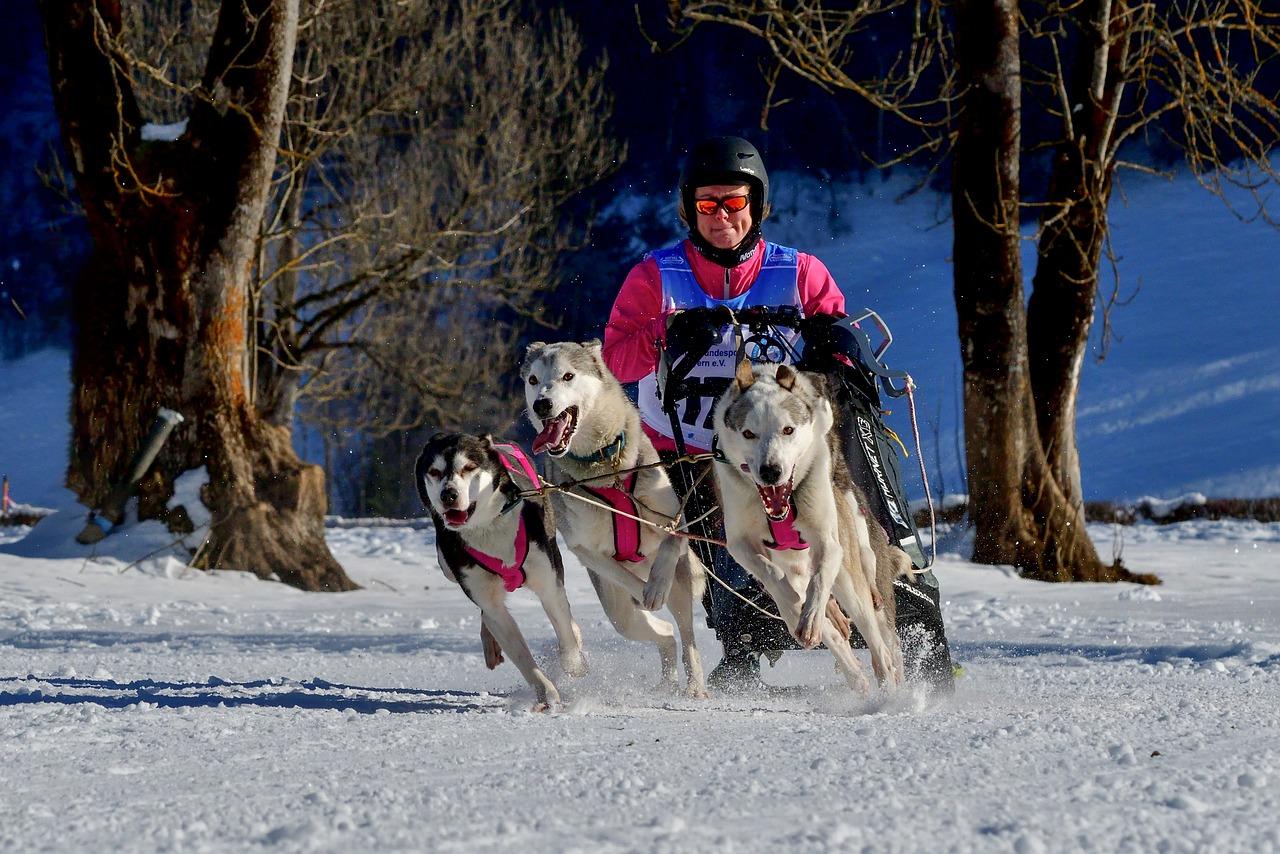 Conveyor Belt PVC 24" Width (Per Foot)