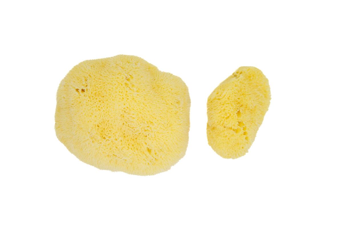 Conveyor Belt PVC 24" Width (Per Foot)