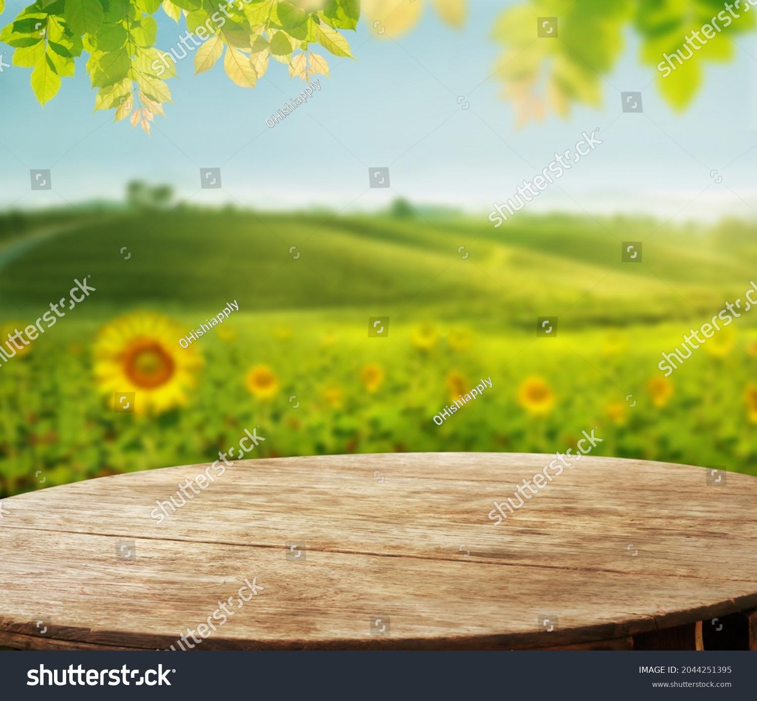 Conveyor Belt PVC 24" Width (Per Foot)