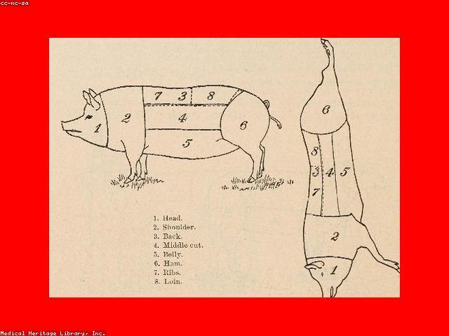 Bulk Roasted Coffee Beans Medium (5lb)